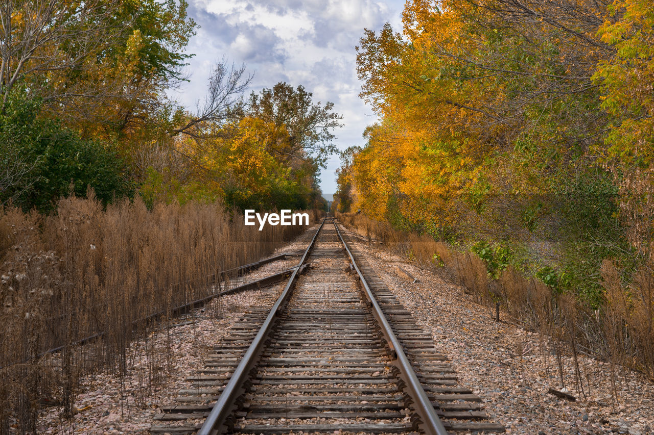 Railroad tracks amidst trees against sky