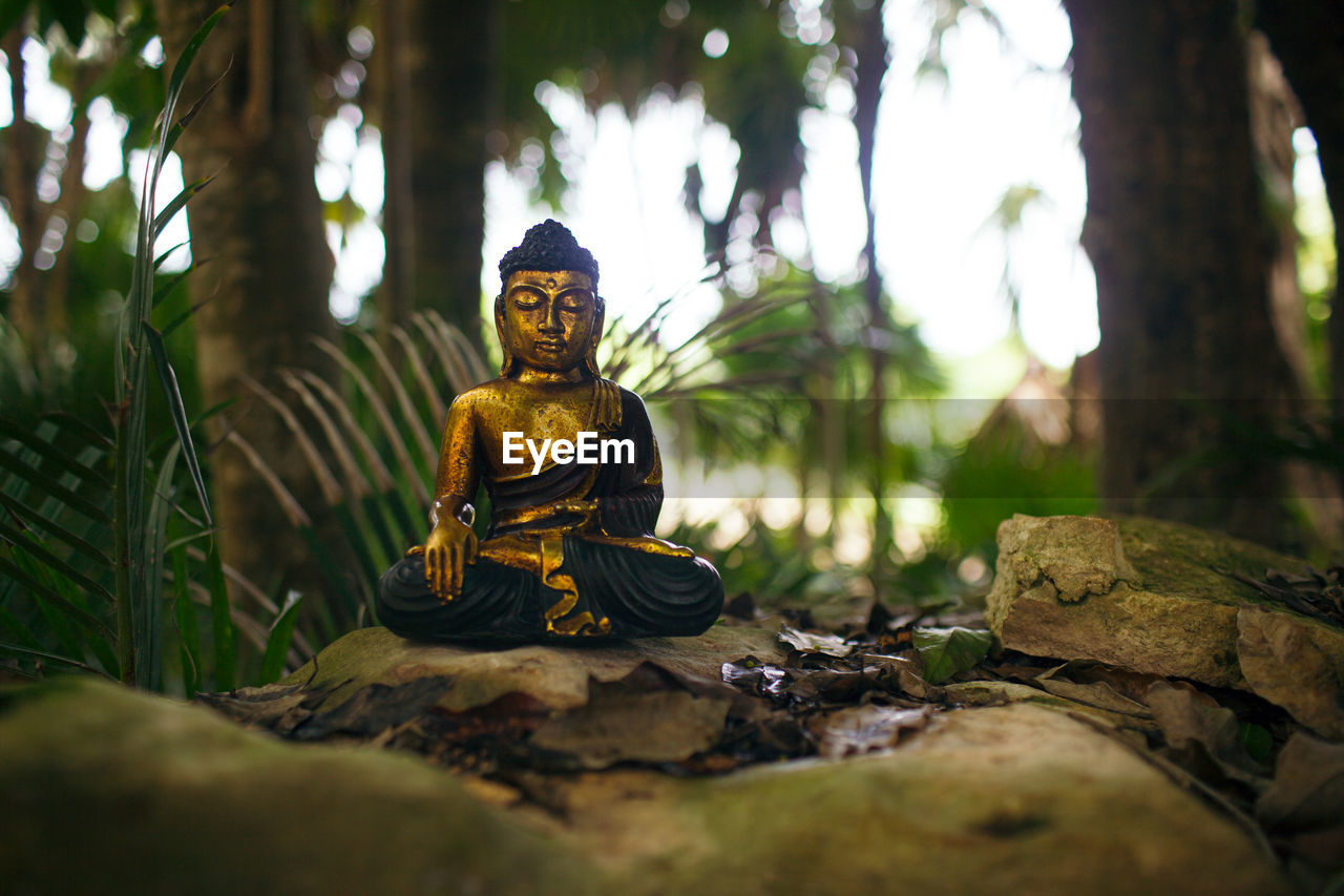 Meditating buddha statue jungle background