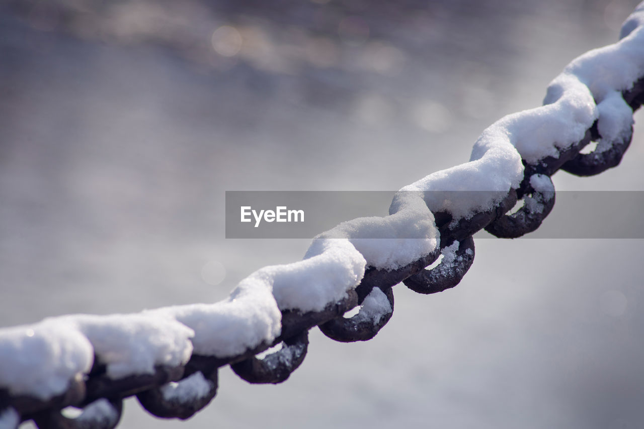 Close-up of snow covered chain