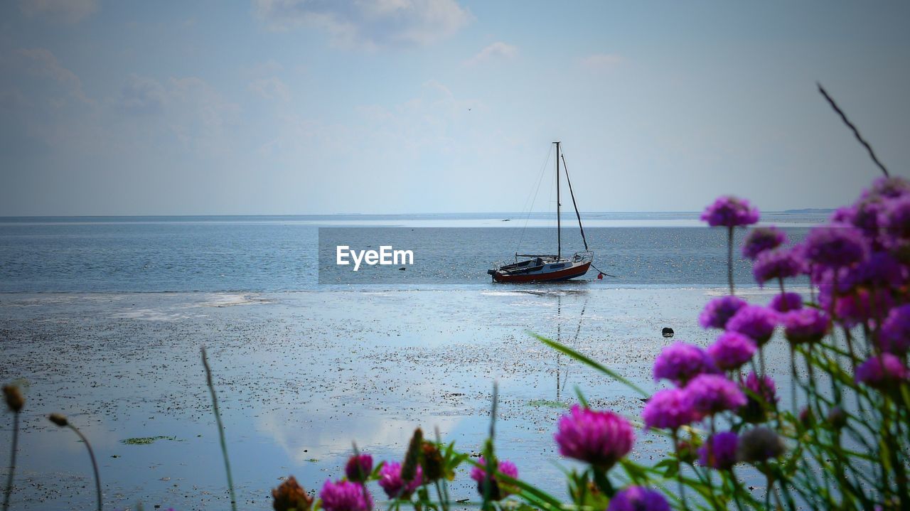 Scenic view of sea against cloudy sky