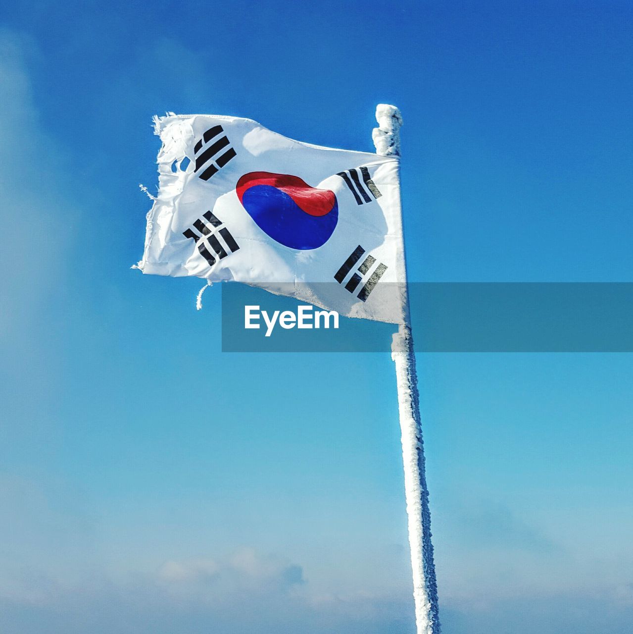 Low angle view of korean flag waving against blue sky