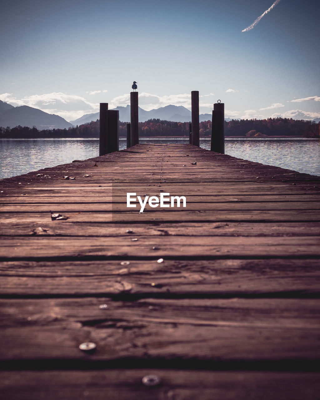 Surface level of wooden pier over sea against sky