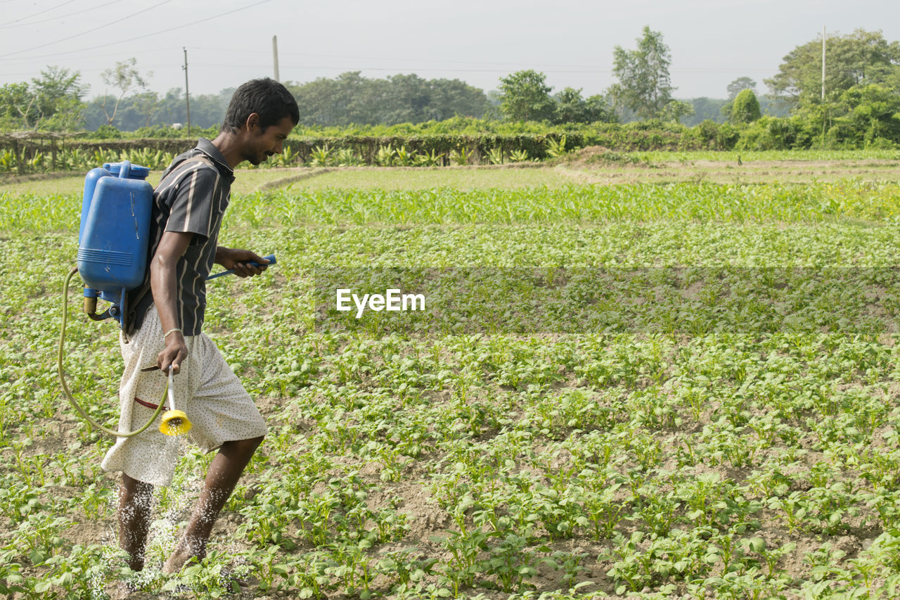 Farmer spraying fertilizer in agricultural field