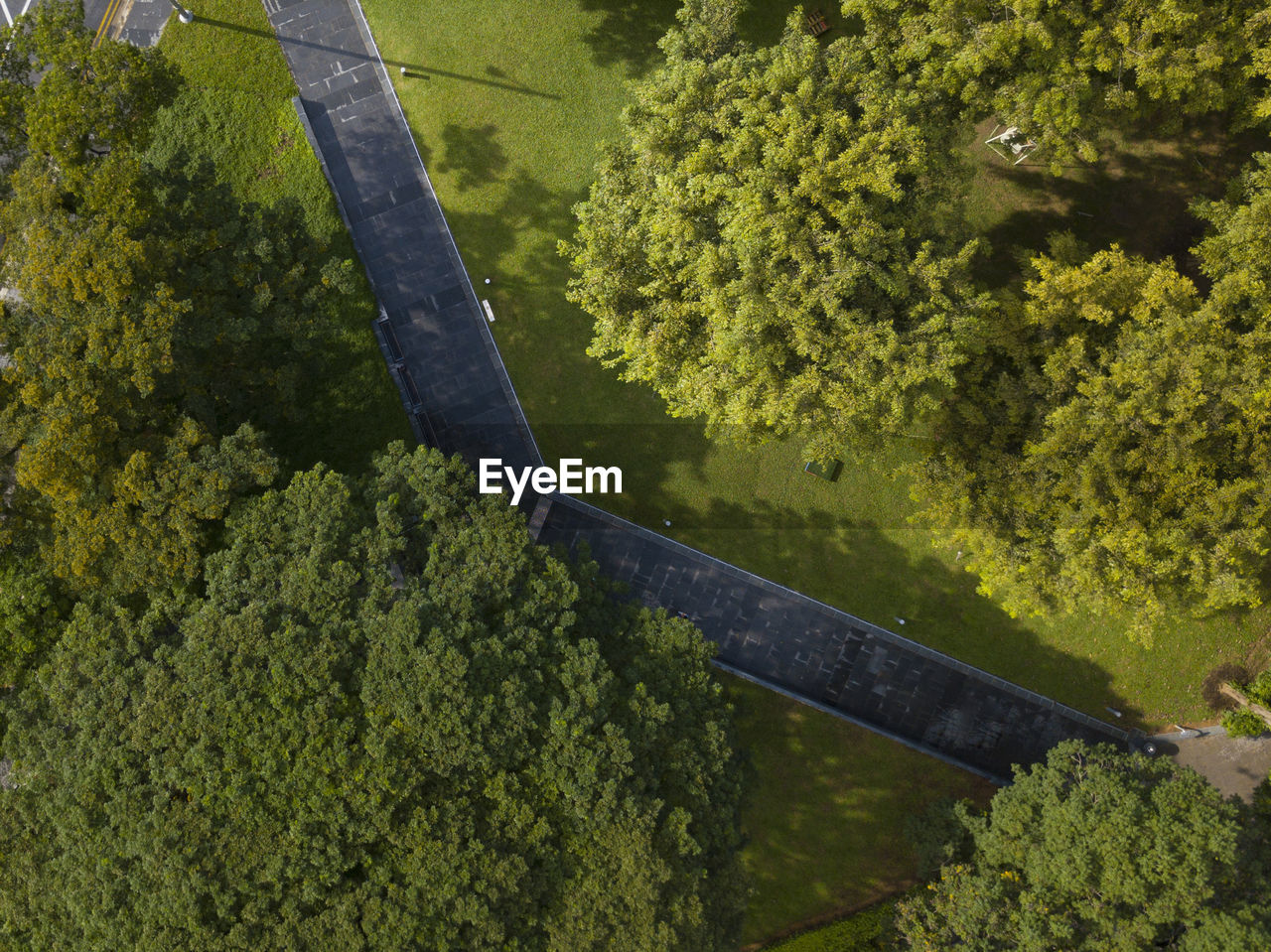 High angle view of footpath amidst grassy field in forest