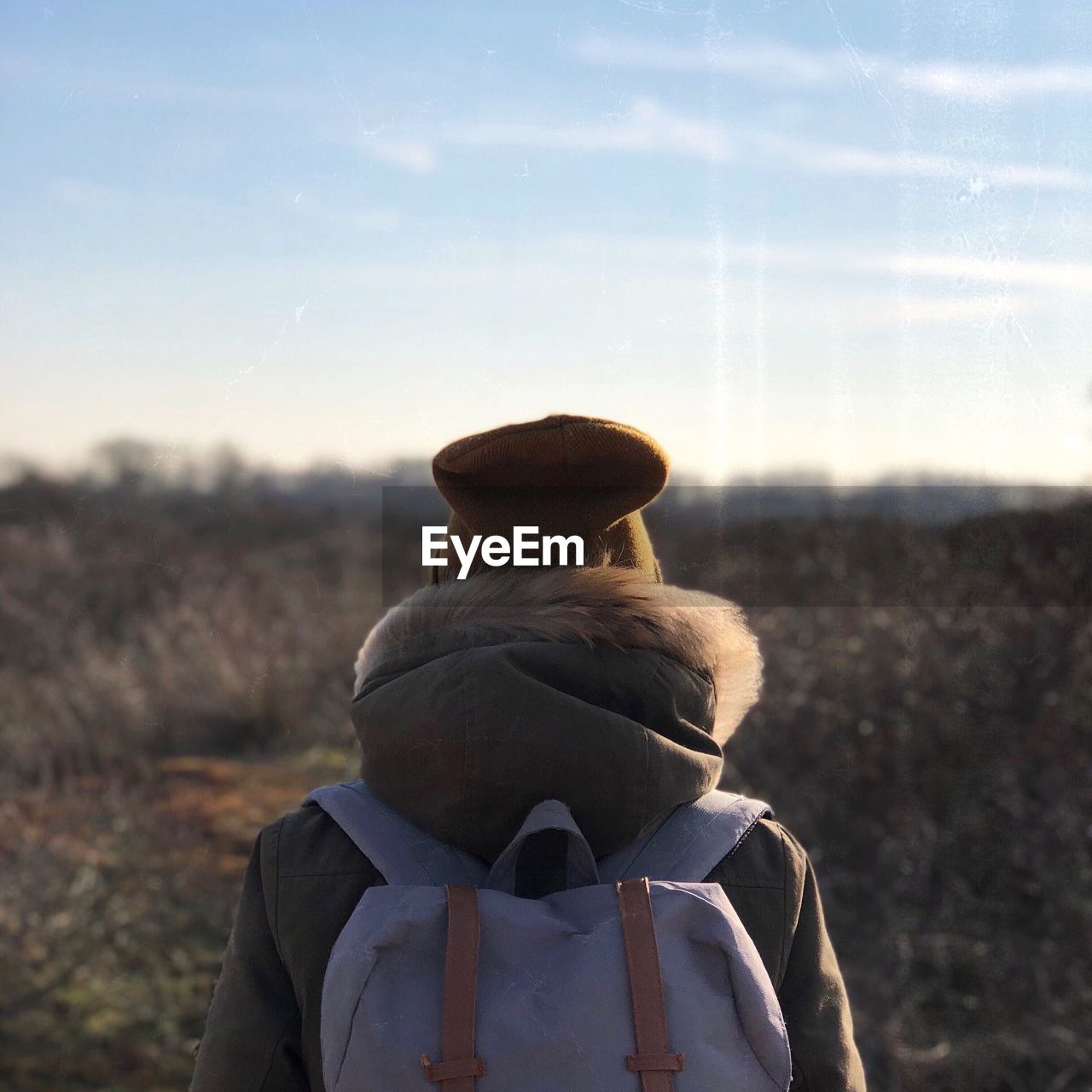 Rear view of man looking at landscape against sky