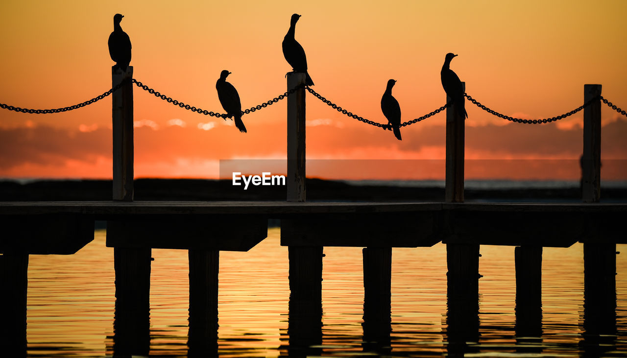 Silhouette birds perching on chain over sea against sky