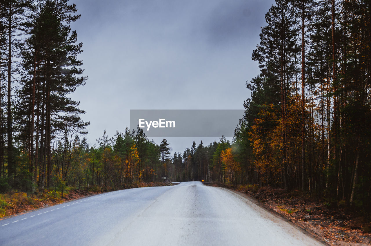 Road amidst trees against sky