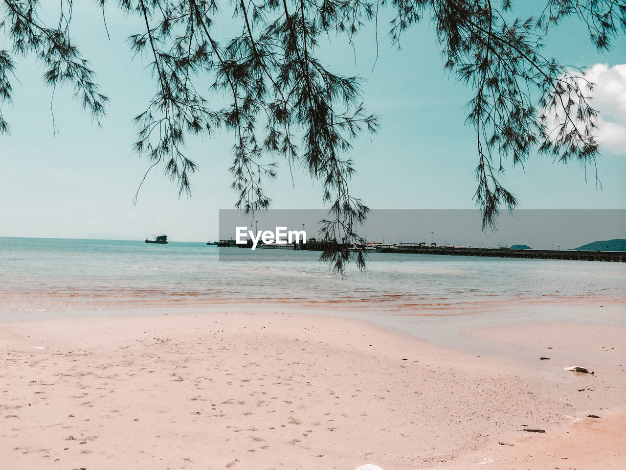 SCENIC VIEW OF BEACH