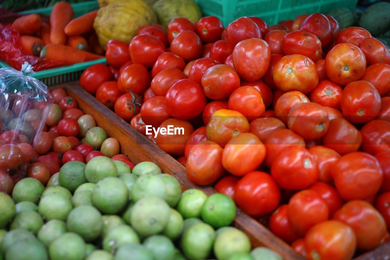 CLOSE-UP OF TOMATOES FOR SALE