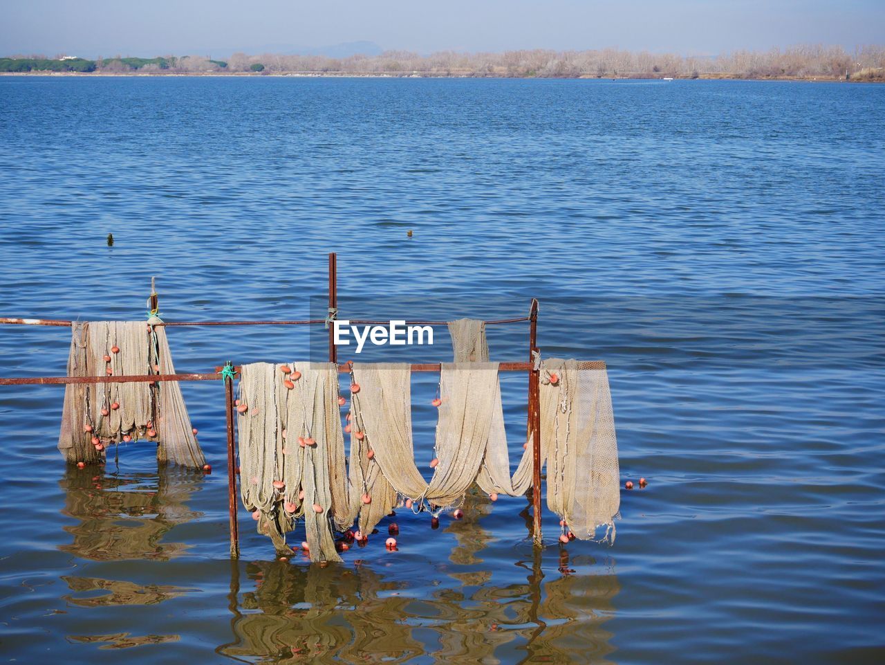 Scenic view of lake