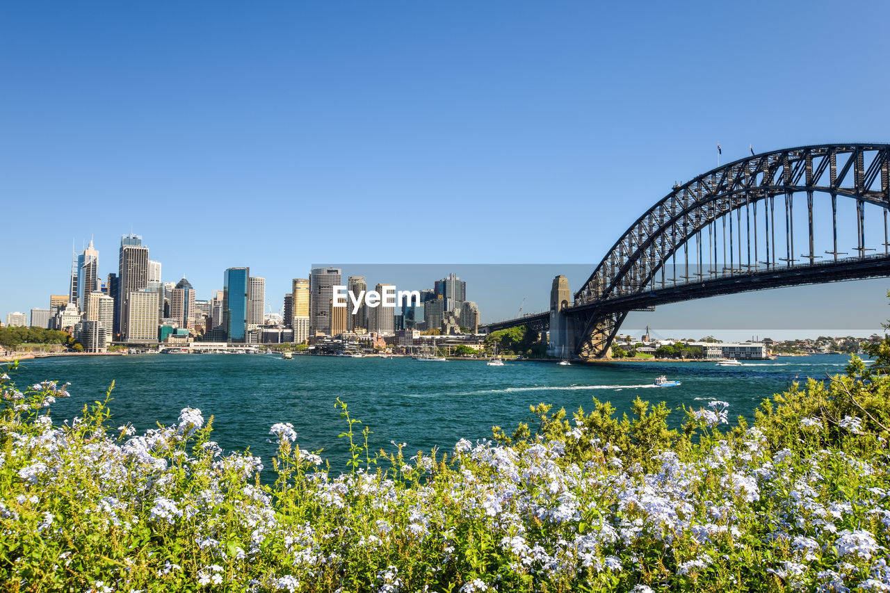 Sydney harbour at circular quay with harbour bridge. seen from dr mary booth lookout, kirribilli