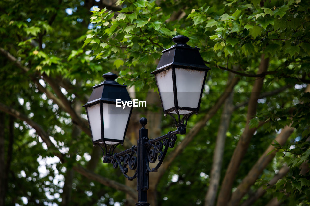 Low angle view of street light against tree