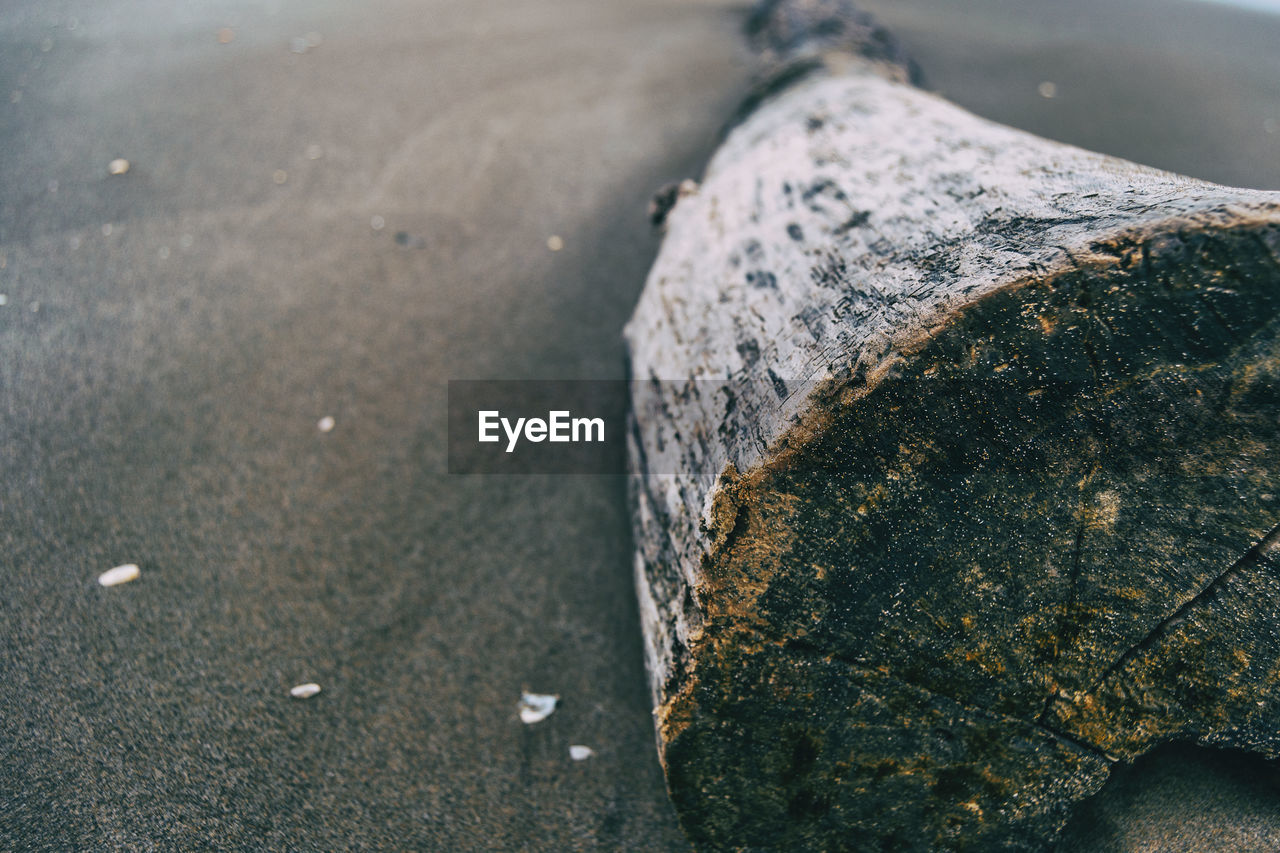 Trunk of a tree cut into the sand on the beach seen up close with its cracks and textures