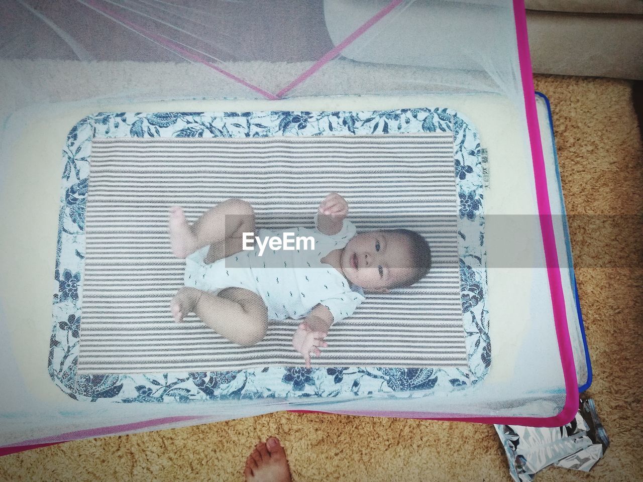 HIGH ANGLE VIEW OF CUTE SLEEPING ON FLOOR