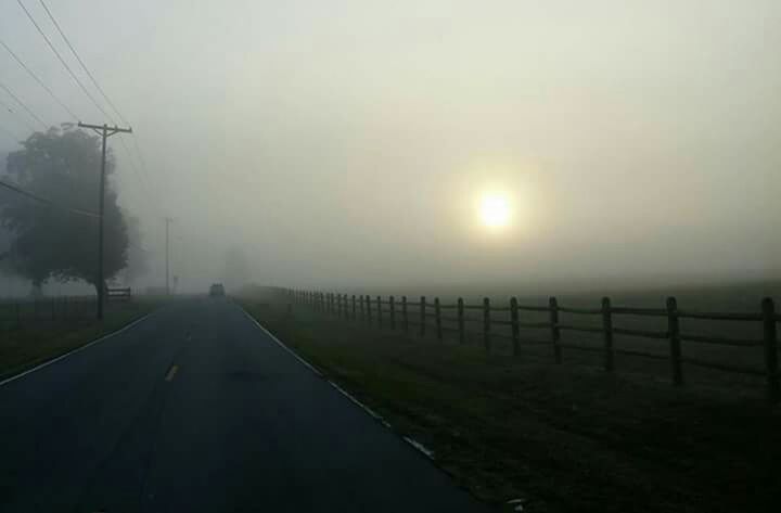 VIEW OF ROAD IN FOGGY WEATHER