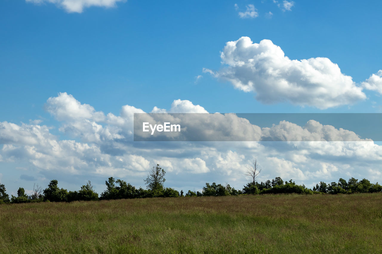 SCENIC VIEW OF LAND AGAINST SKY