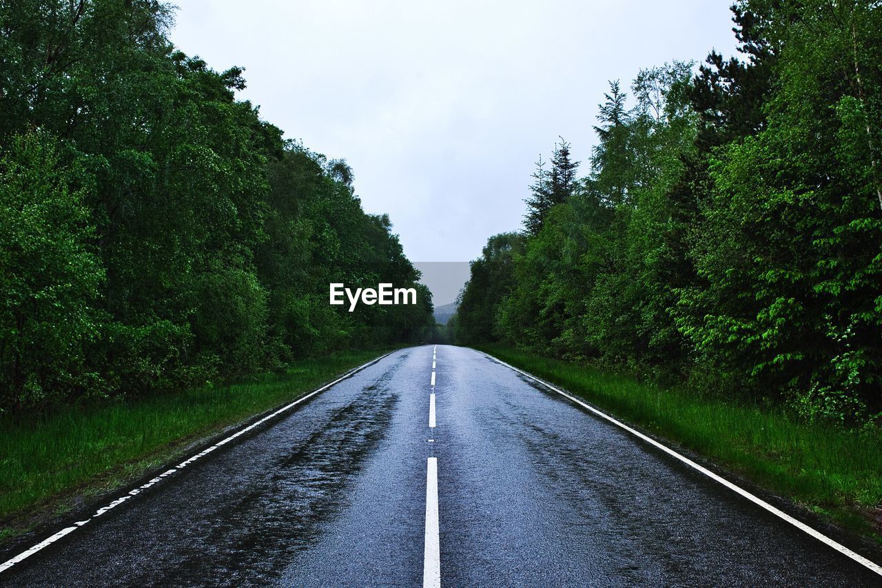 Wet empty road amidst trees against sky