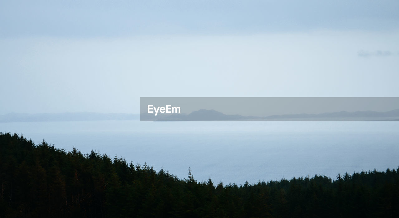 Scenic view of forest against sky