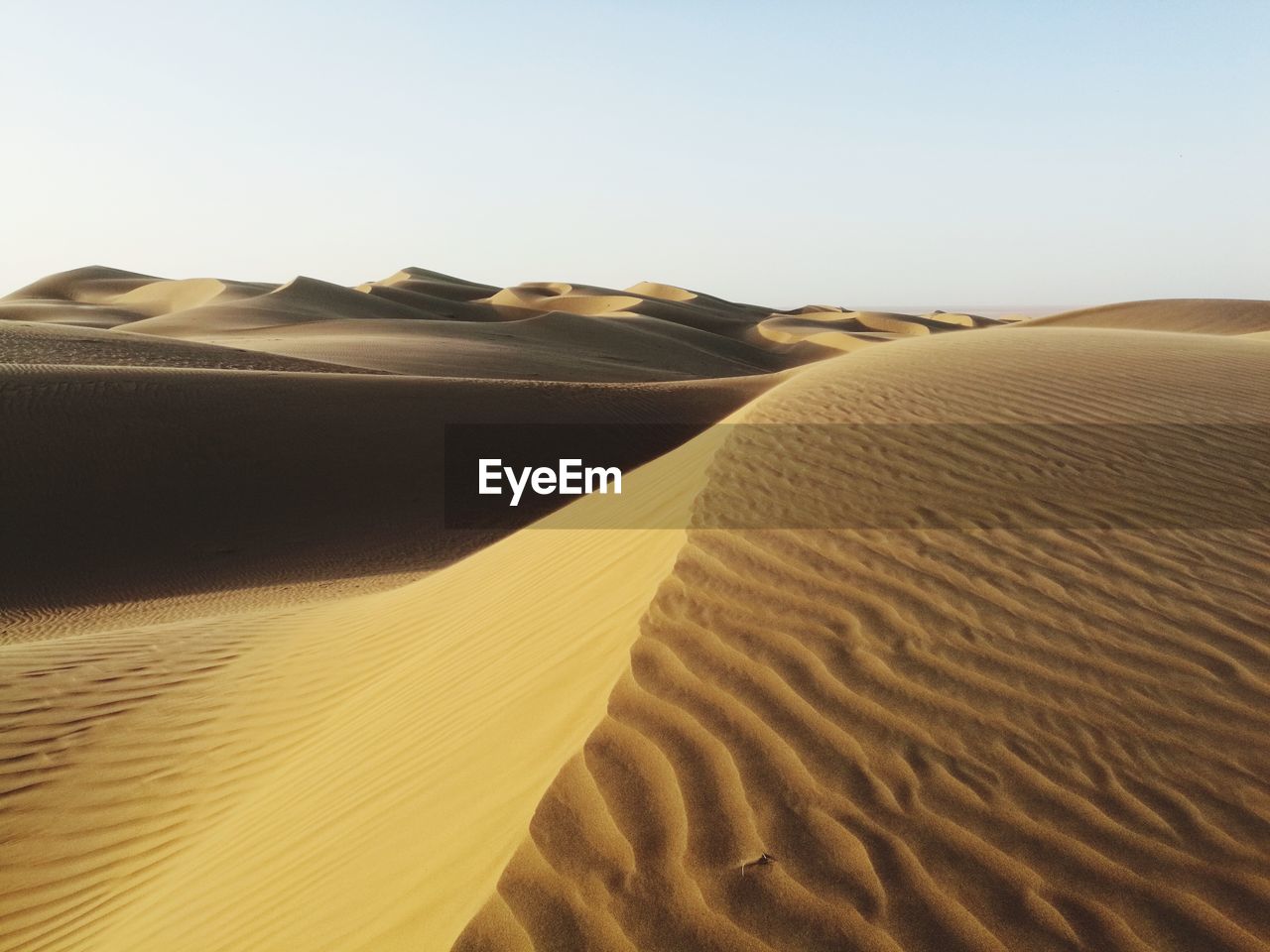 SCENIC VIEW OF SAND DUNE AGAINST CLEAR SKY