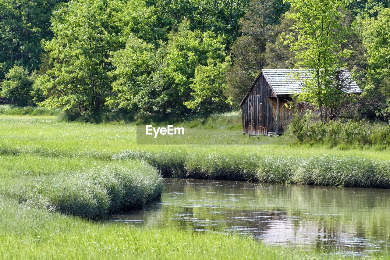 Hut on grassy field by river against trees