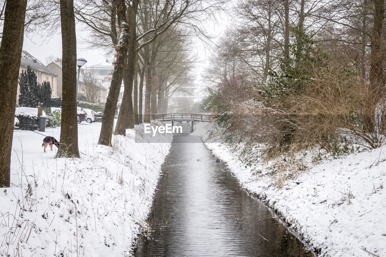 Snow covered canal amidst trees during winter