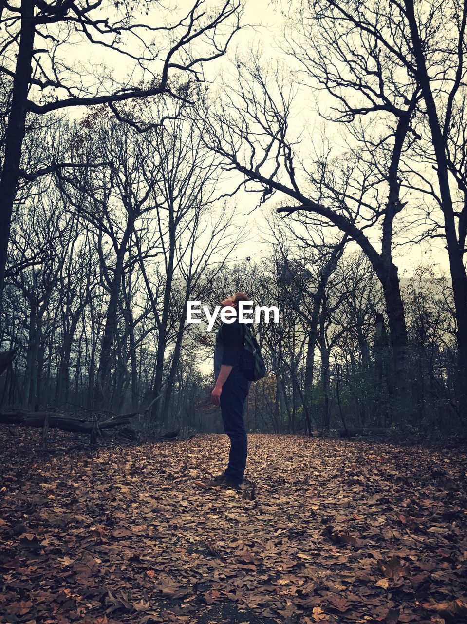 Side view of young man standing in forest during autumn