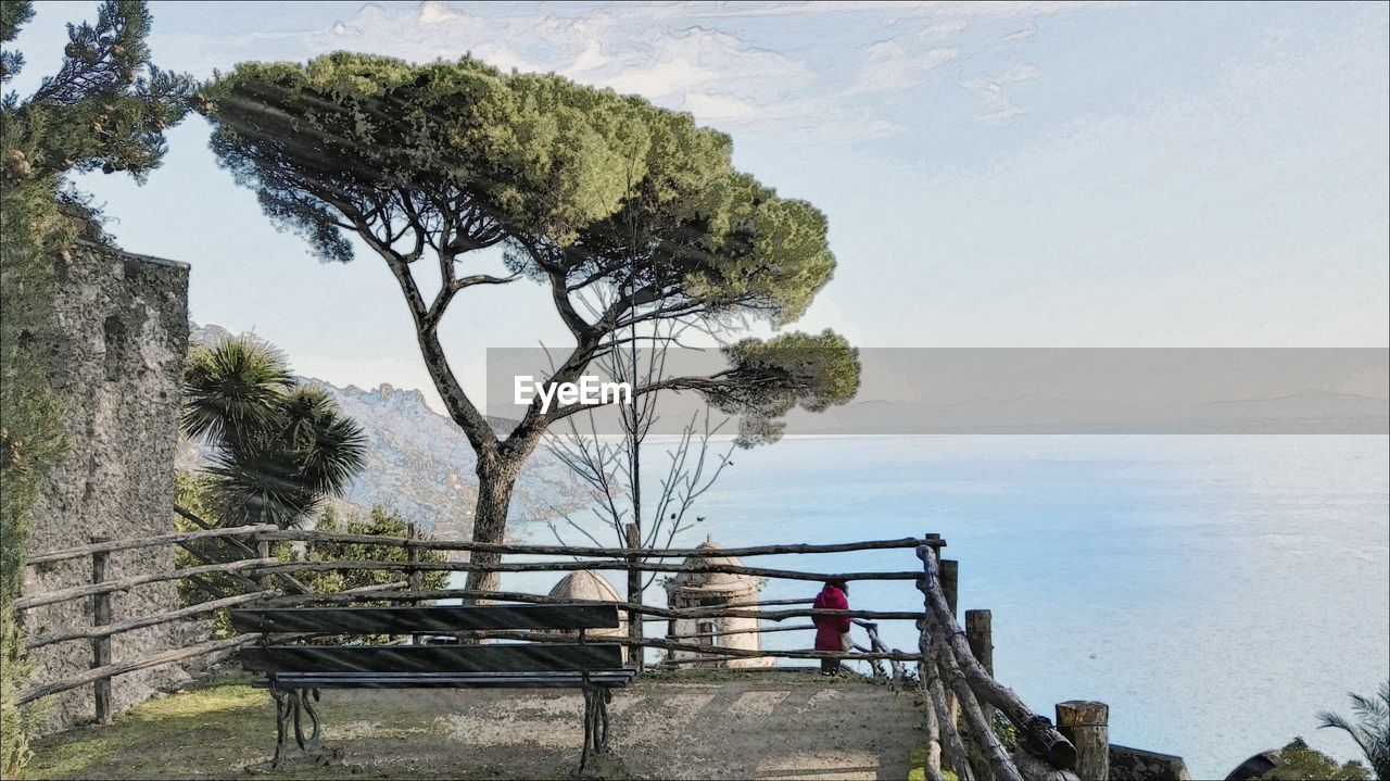 View of tree against calm sea