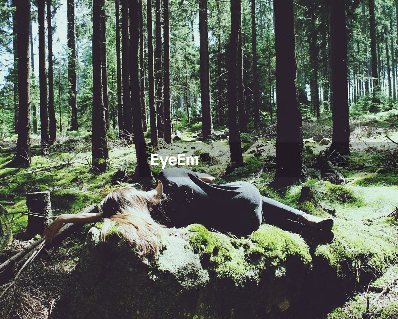 Rear view of woman lying on rock against trees in forest