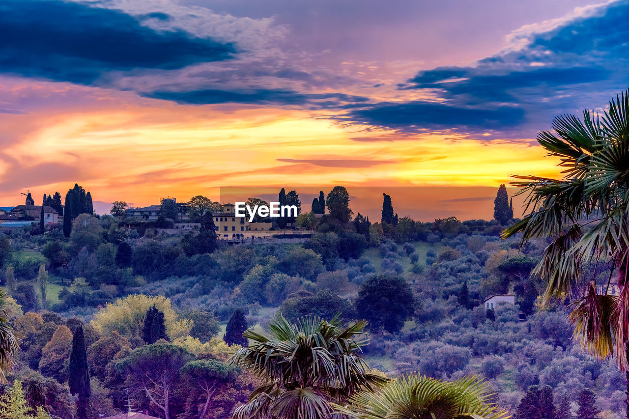 sky, sunset, landscape, plant, environment, nature, scenics - nature, tree, cloud, travel destinations, beauty in nature, travel, land, flower, tourism, no people, multi colored, architecture, outdoors, sun, dusk, tranquility, city, purple, dramatic sky, evening, mountain, rock, tropical climate, twilight, tranquil scene, sunlight, blue