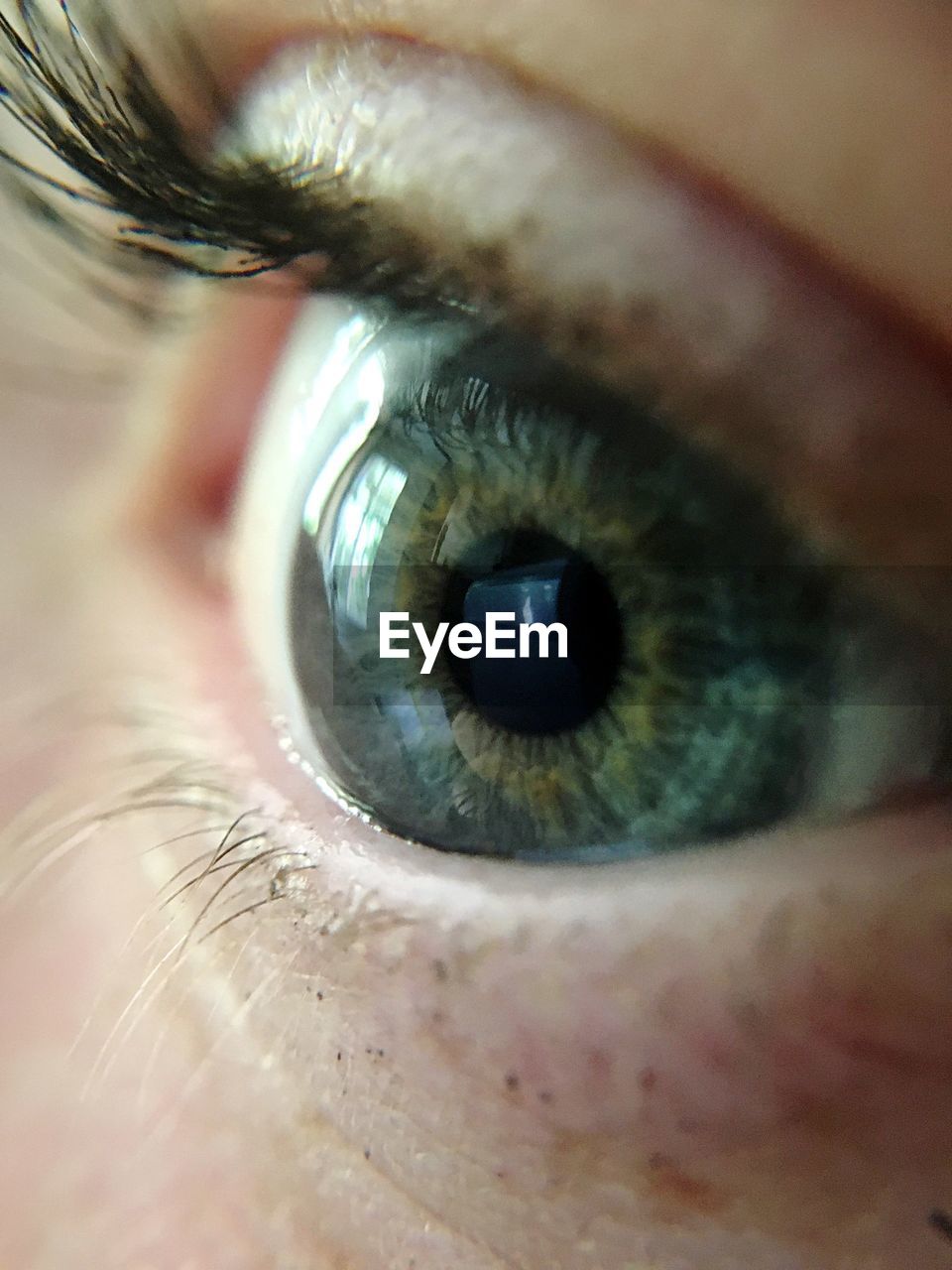 Extreme close-up of eye