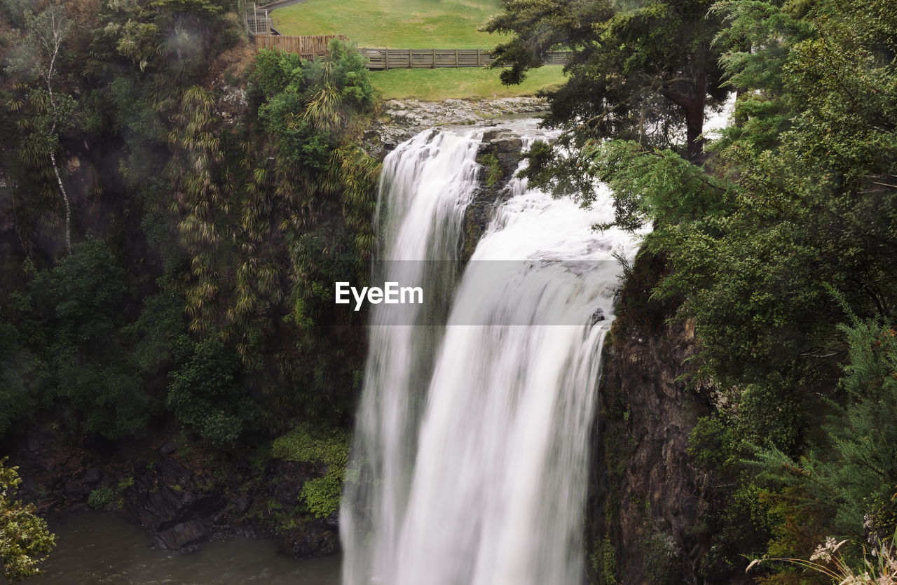 Scenic view of waterfall in forest