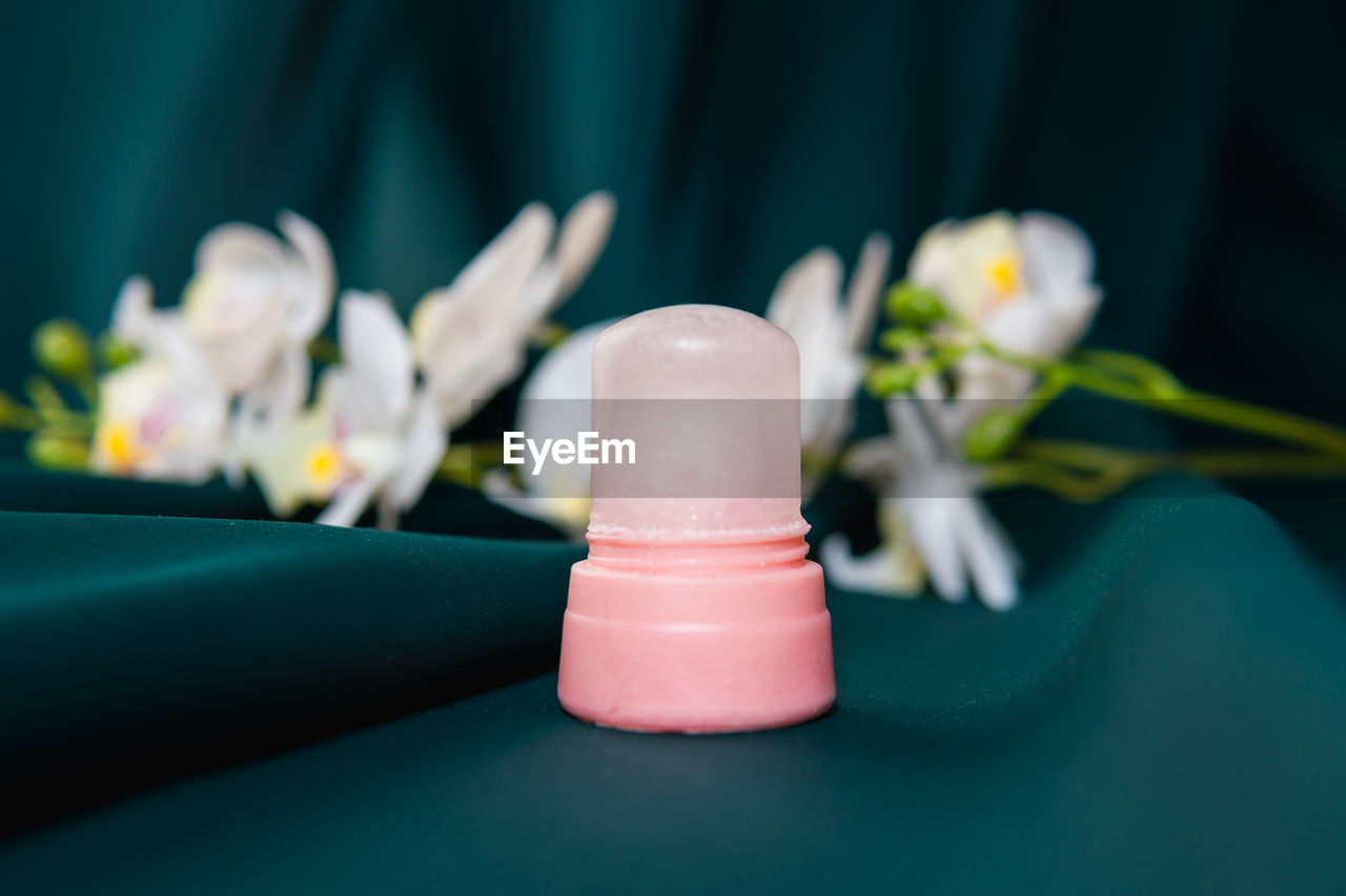 CLOSE-UP OF PINK FLOWER IN CONTAINER ON TABLE