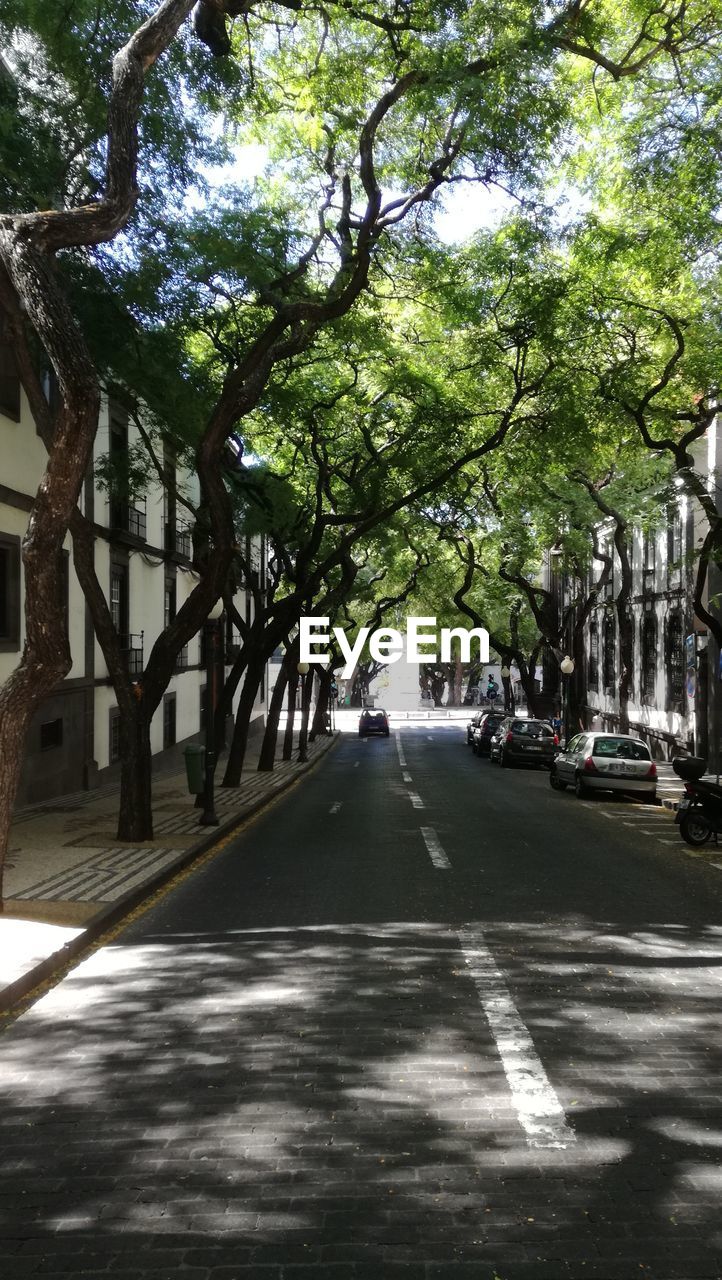 CARS PARKED ON STREET