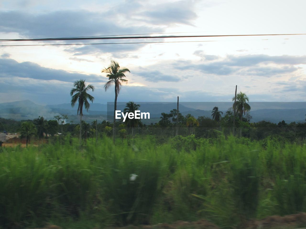 SCENIC VIEW OF FARM AGAINST SKY