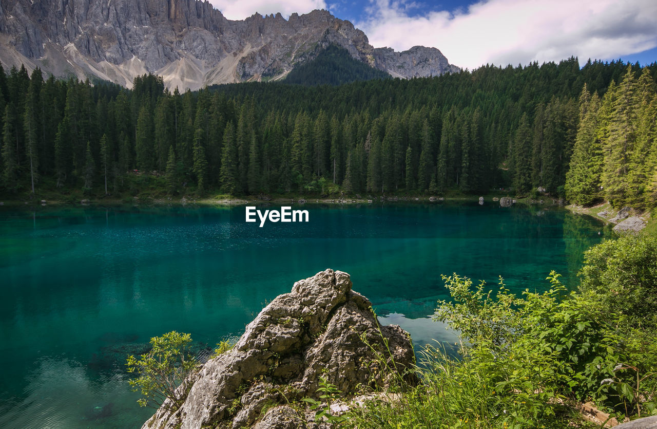 Scenic view of pine trees by lake against sky