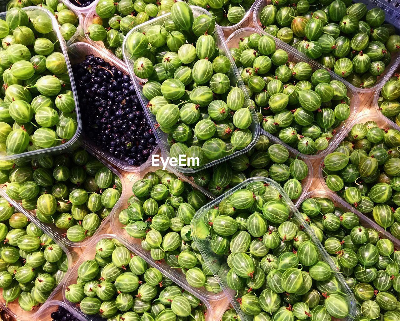 View of gooseberries and blueberries in container for sale