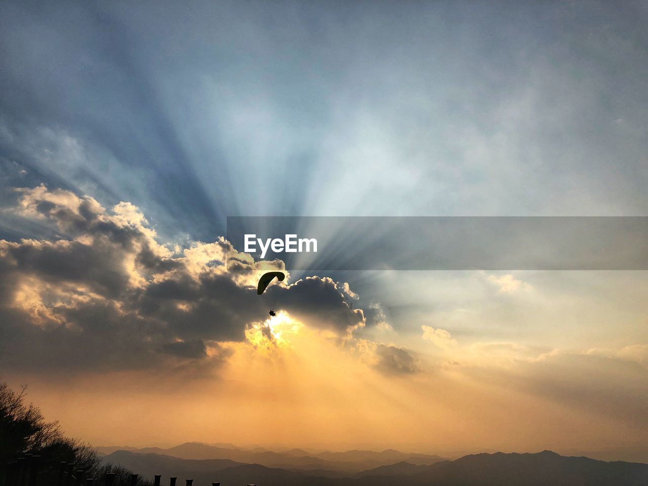 LOW ANGLE VIEW OF SILHOUETTE BIRDS AGAINST SKY DURING SUNSET