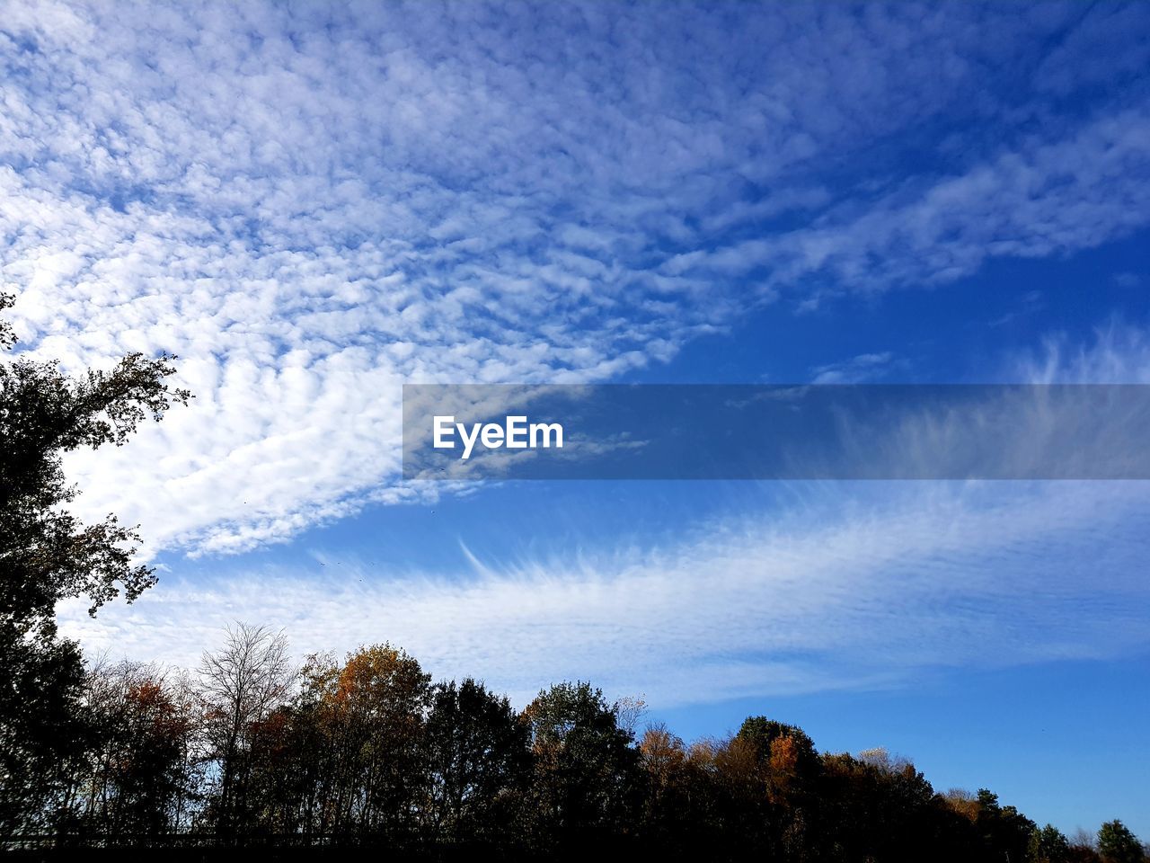 LOW ANGLE VIEW OF SILHOUETTE TREES AGAINST BLUE SKY