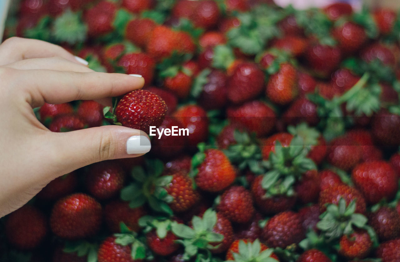 Cropped hand holding strawberry