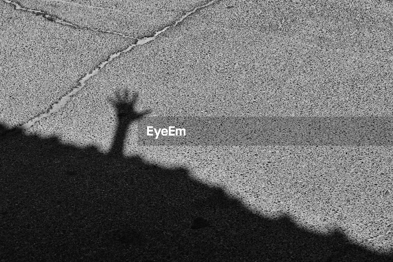 SHADOW OF PERSON STANDING ON STREET IN CITY