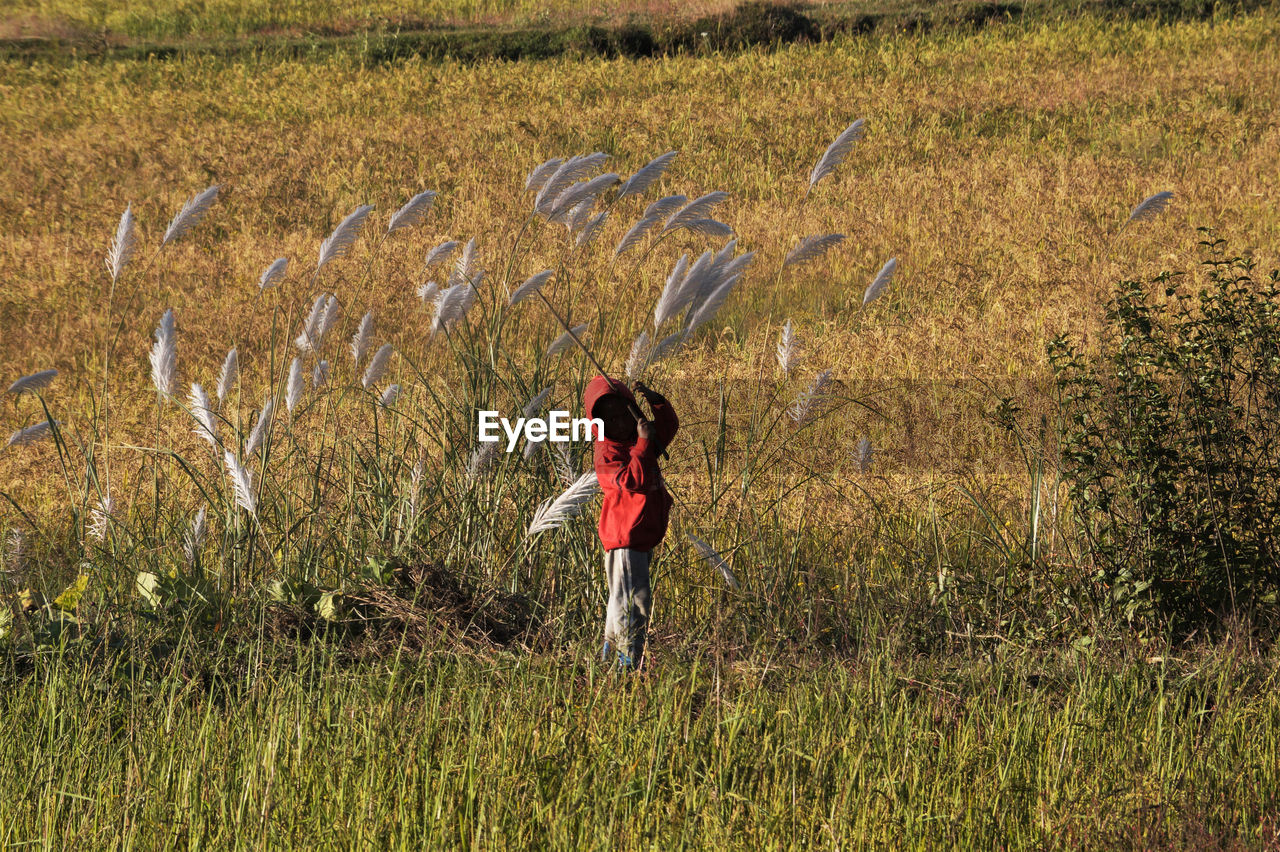 Rear view of boy standing on field