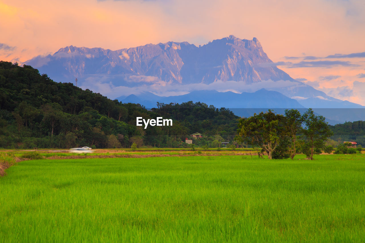 Scenic view of field and mountains against sky