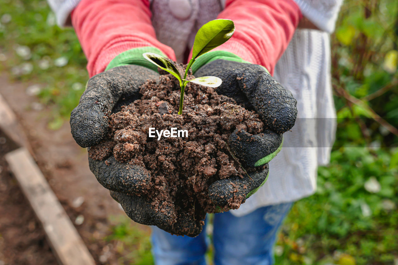 CLOSE-UP OF HAND HOLDING LEAF