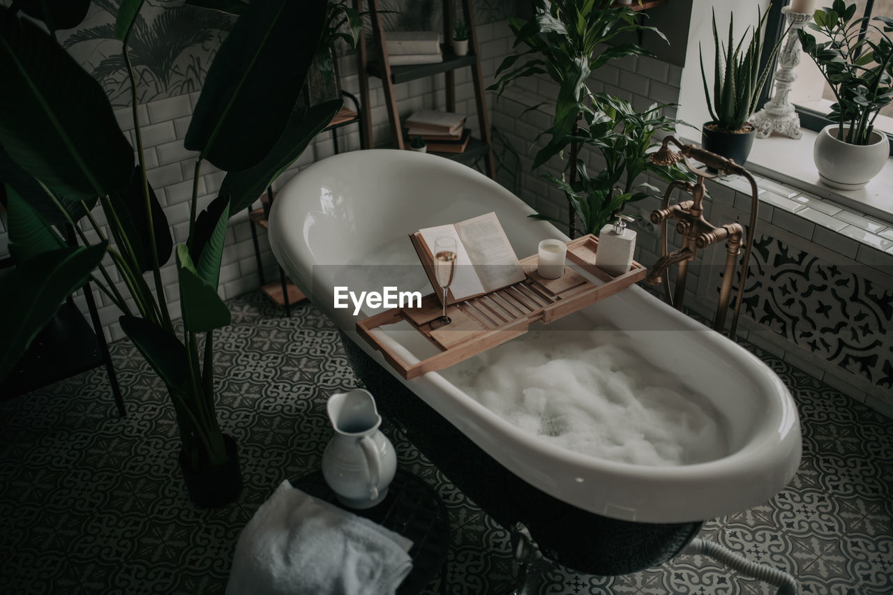 sink, bathroom, bathtub, indoors, household equipment, domestic room, high angle view, no people, plumbing fixture, room, home, nature, plant, table, food and drink, hygiene