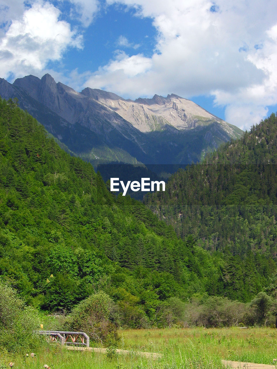 Scenic view of green landscape and mountains against sky