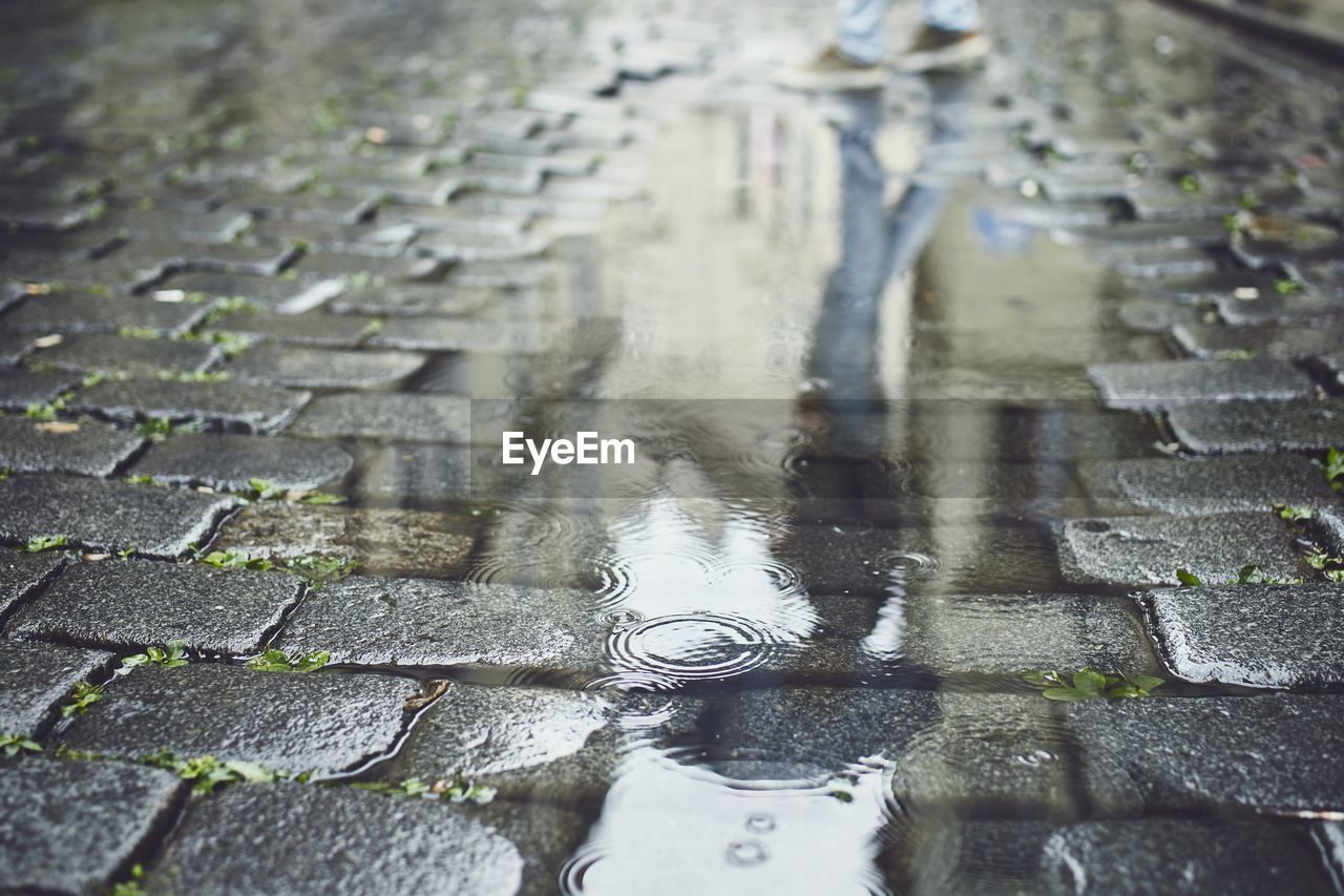 Close-up of wet footpath