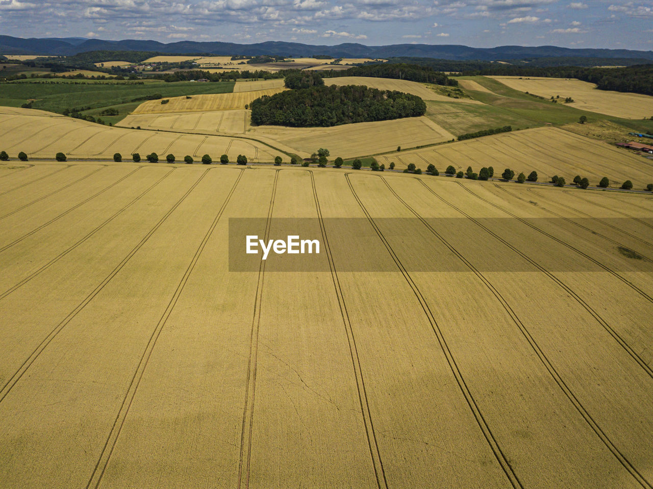 HIGH ANGLE VIEW OF AGRICULTURAL LANDSCAPE