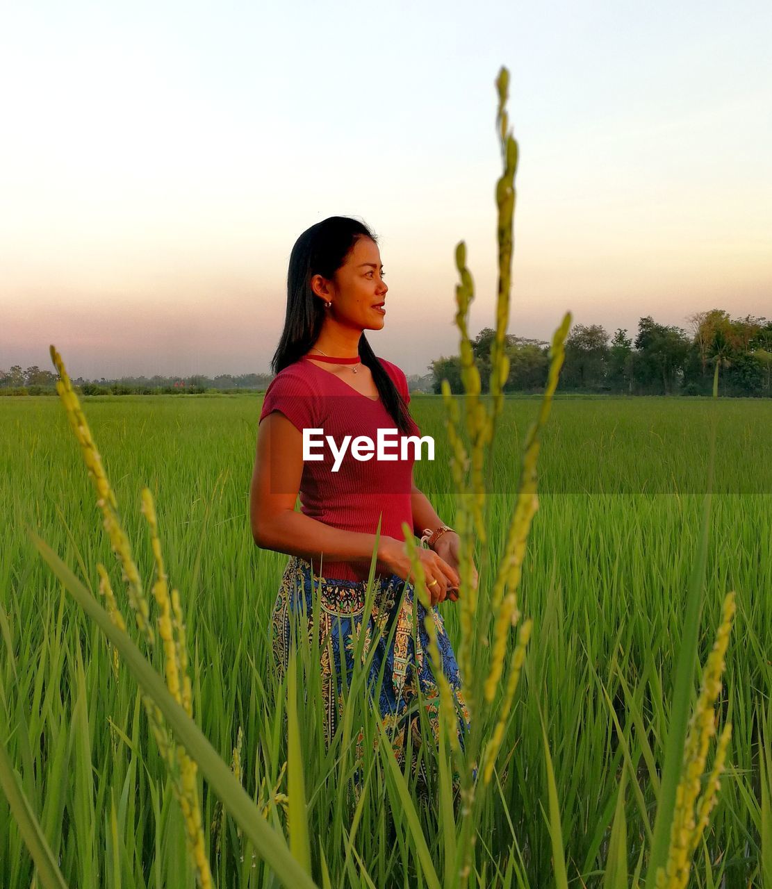 Woman standing amidst plants against sky during sunset