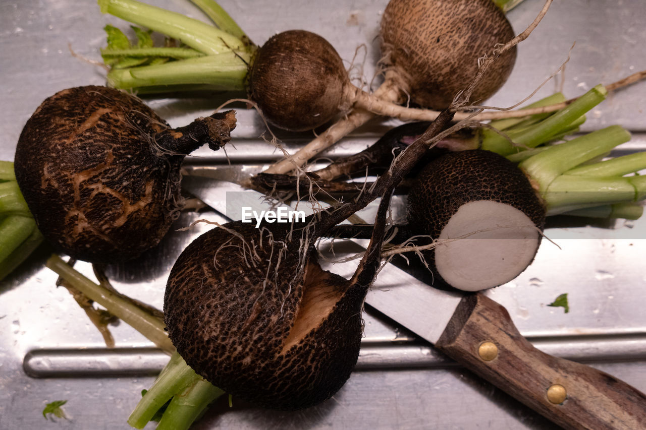 HIGH ANGLE VIEW OF VEGETABLES ON PLANT