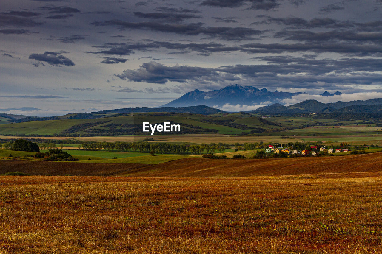 Scenic view of agricultural field against sky